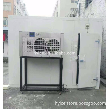 Factory dircet supply high quality PU sandwich panel cold room/food and vegetable cold storage